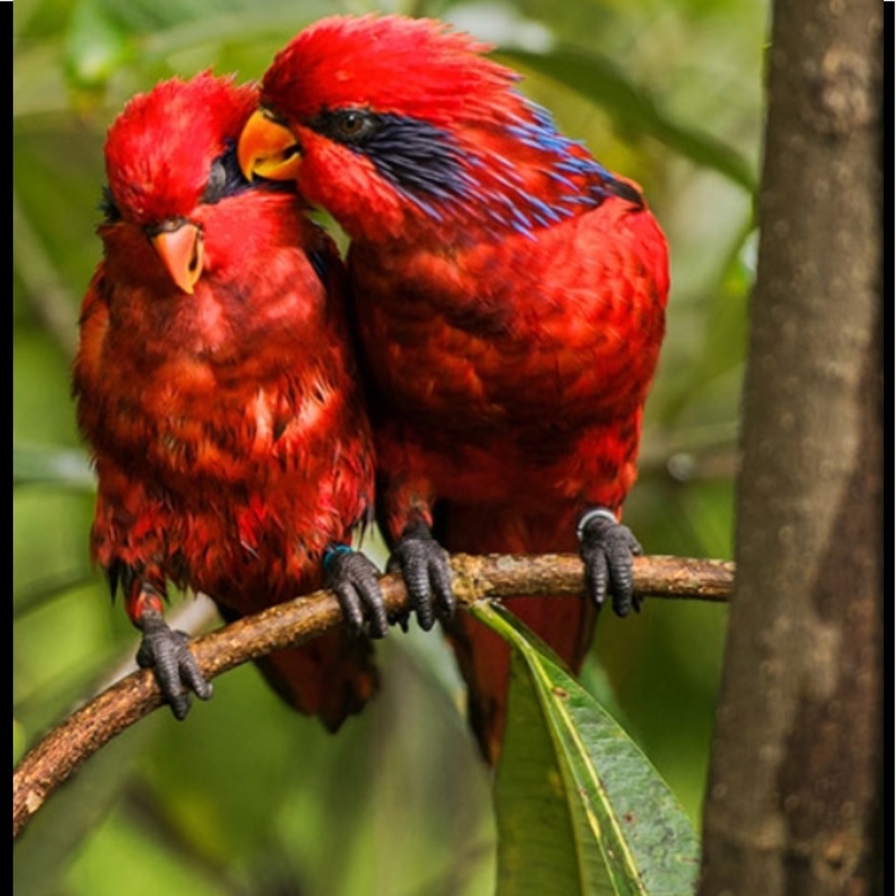 Love Makes The World Go Around